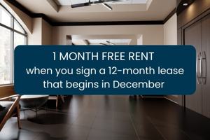 featured image of 435 Albert Street