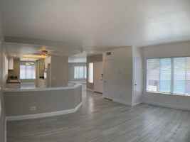 featured image of 4594 Cove Drive