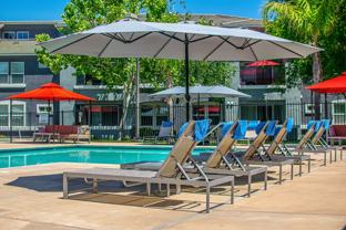 The Lofts Apartment Homes - Photo 1 of 1