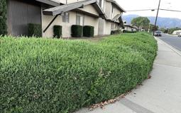 Pattiglen Ave - Photo 1 of 1