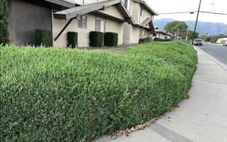 Pattiglen Ave - Photo 1 of 1