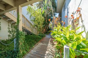 featured image of 4230 San Pablo Dam Road