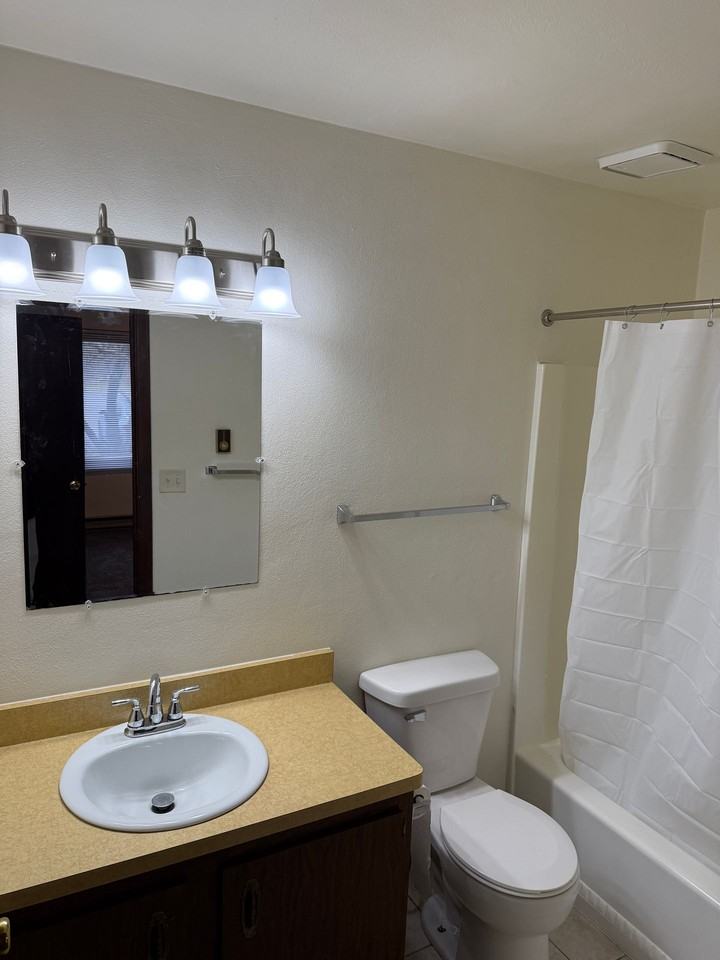 Immaculate Updated 1 Bedroom with 1 Bath - Photo 5 of 18
