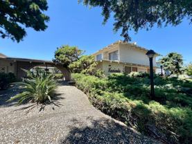 Hacienda Apartments - Photo 1 of 1