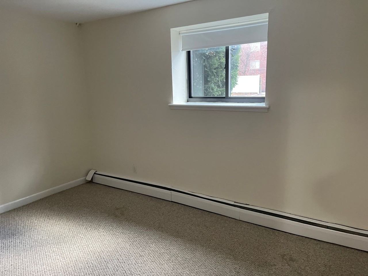 66 Homer St - Photo 5 of 8