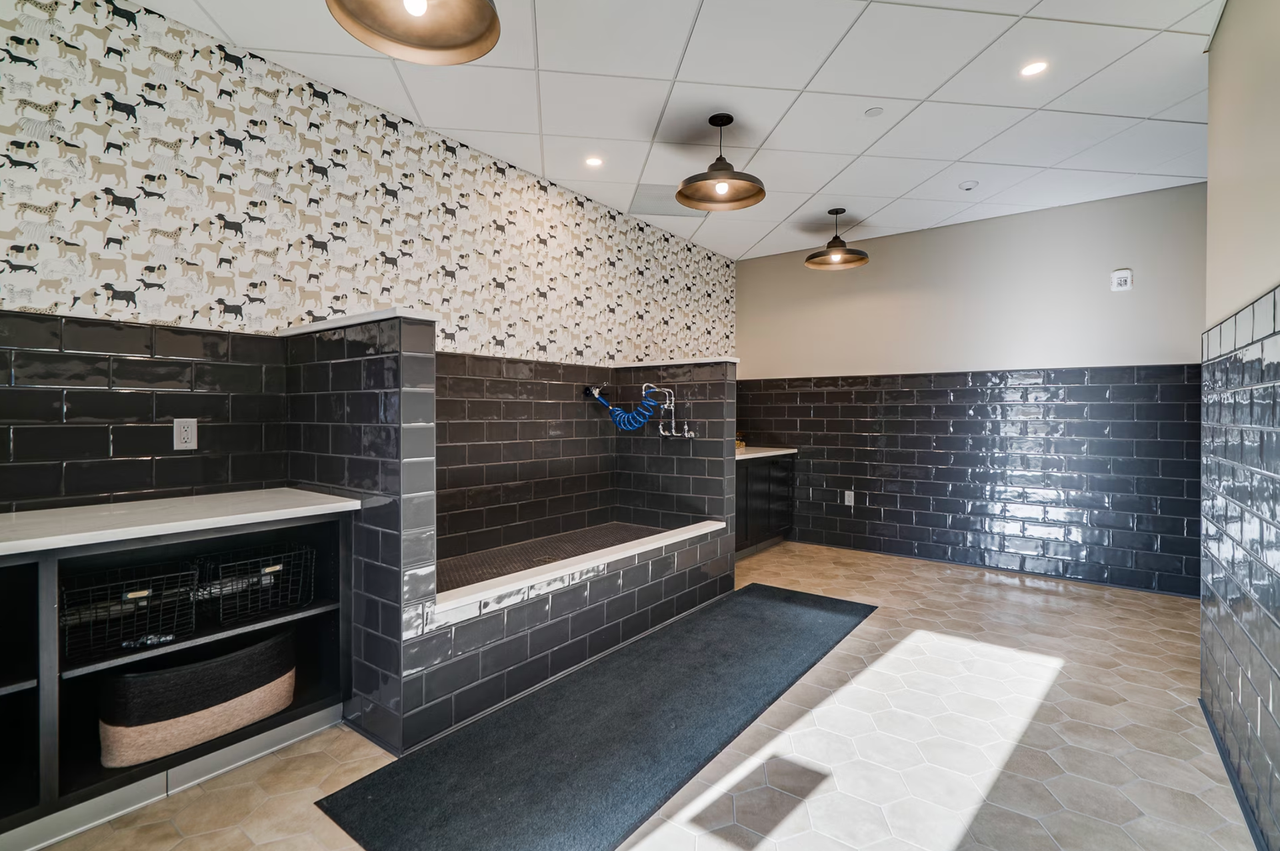 Nolan Mains - Photo 4 of 50