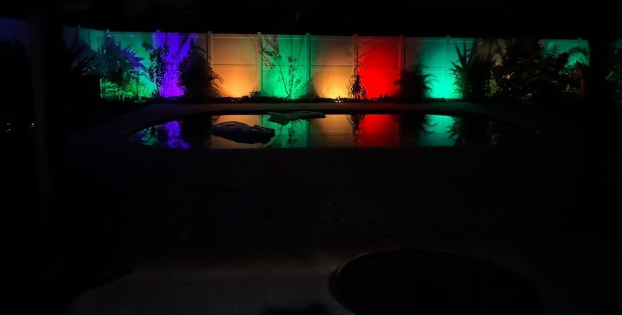 2941 Angler Drive - Photo 4 of 31