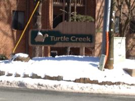 featured image of 141 Green Turtle Lane