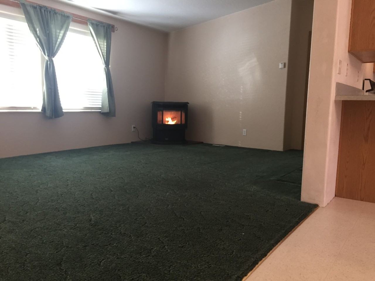 225 E Opal Ave - Photo 6 of 17