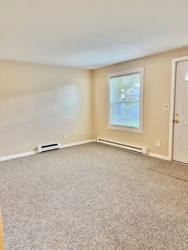 120 Hinsdale Street - Photo 4 of 27