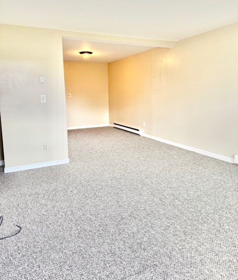 120 Hinsdale Street - Photo 6 of 27