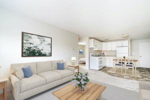 featured image of 161 Stevens Street