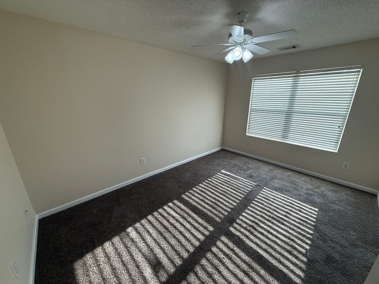 248 Fern Ridge Court - Photo 3 of 16