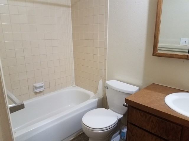 2537 Spruce St #3 - Photo 7 of 12