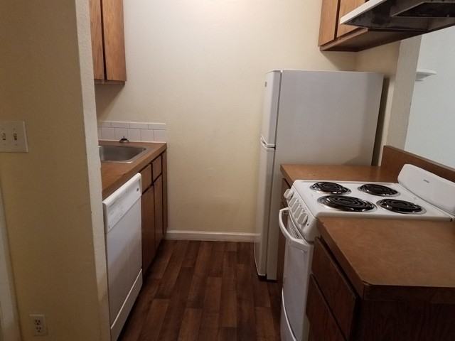 2537 Spruce St #3 - Photo 4 of 12