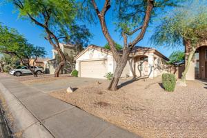 featured image of 31205 North 45th Street