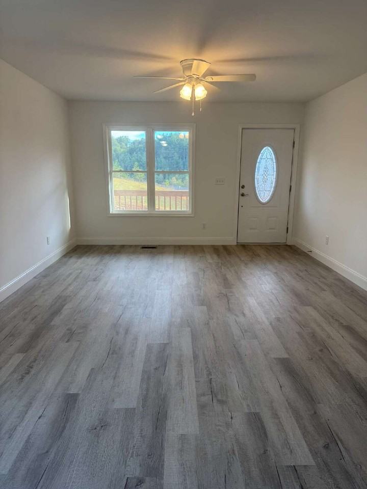 203 Quinn Hill Lane - Photo 3 of 20