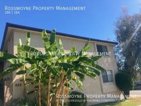 222 South Magnolia Avenue #C - Photo 1 of 1