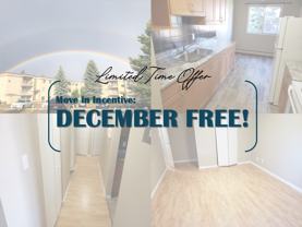 Duggan Manor - Photo 1 of 1