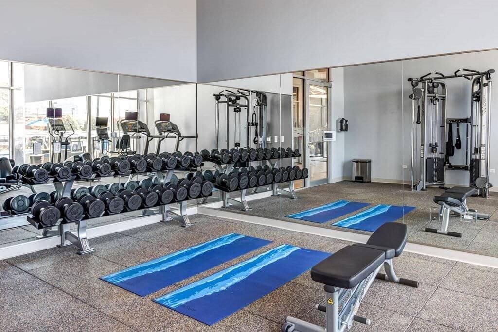 Apex 41 - Photo 3 of 24