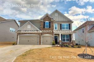 featured image of 2015 Saddlebred Drive