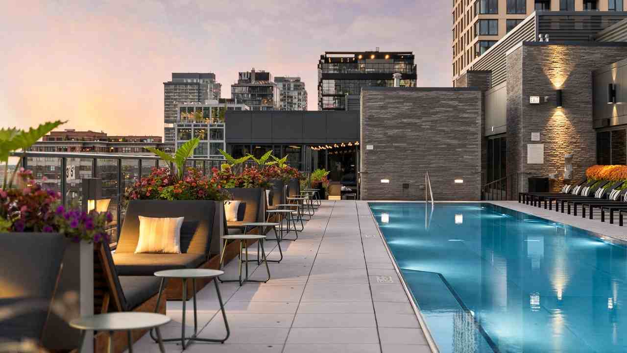 Marlowe - Photo 5 of 38