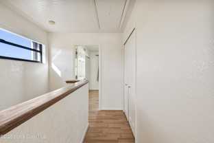 142 Palmetto Avenue - Photo 1 of 1