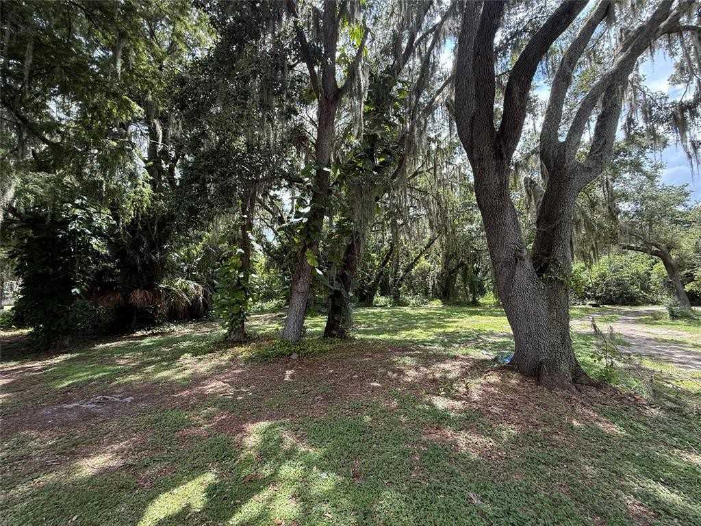 1617 Birch Street #1617 - Photo 3 of 23