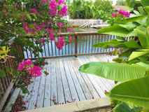 9901 Grace Drive #9901 - Photo 1 of 1