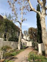 22219 Erwin Street #22219 - Photo 1 of 1