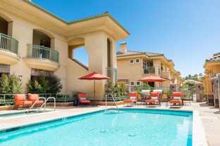 5515 Cancha De Golf #5515D - Photo 1 of 1