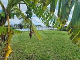 featured image of 915 Noble New Smyrna Beach #915