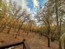 12200 Dakota Court - Photo 1 of 1