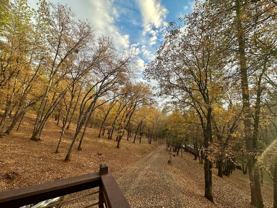 12200 Dakota Court - Photo 1 of 1