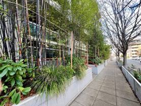 401 9th Avenue North #316 - Photo 1 of 1