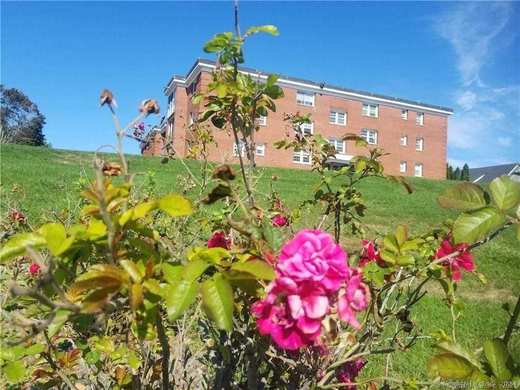 185 Melba St #109 - Photo 2 of 35