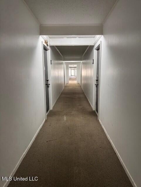 2823 Bienville Boulevard - Photo 6 of 19