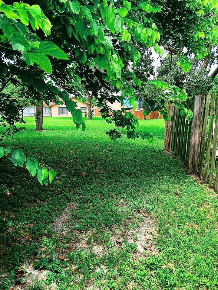 1236 Block Island Rd - Photo 6 of 19