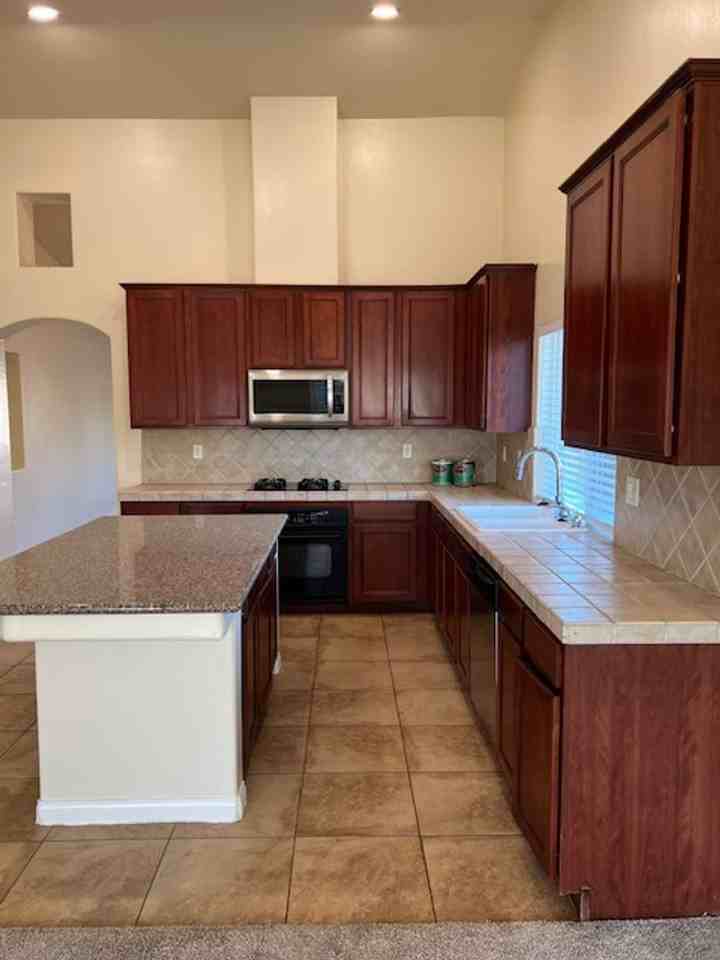 13003 Lake Pueblo Way - Photo 5 of 30