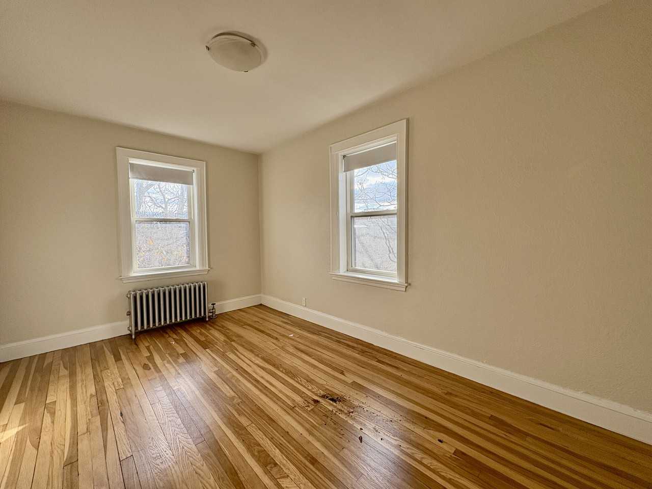 46 Englewood Ave #1 - Photo 5 of 11
