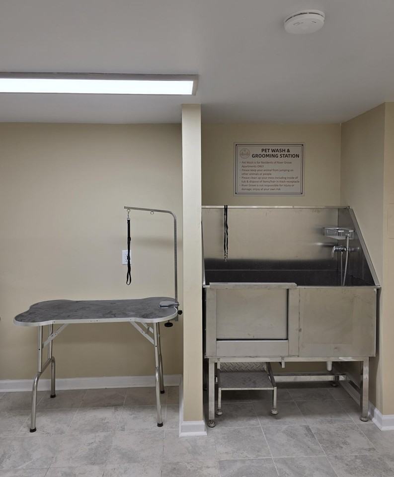 1002 East Main Street #1MR - Photo 3 of 8