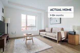 99 Kneeland Street #1291 - Photo 1 of 1