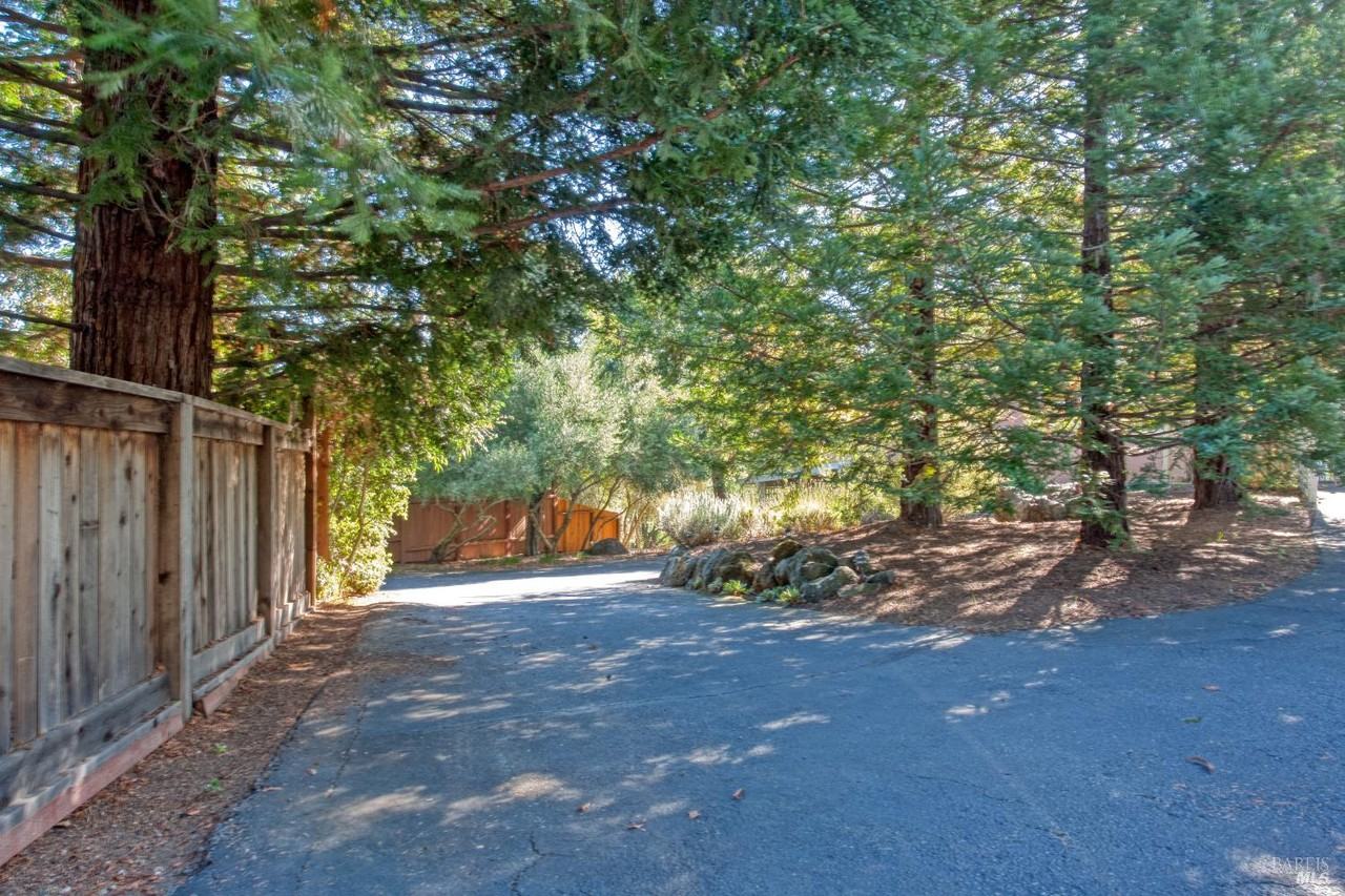 56 Wild Iris Drive #56 - Photo 3 of 12
