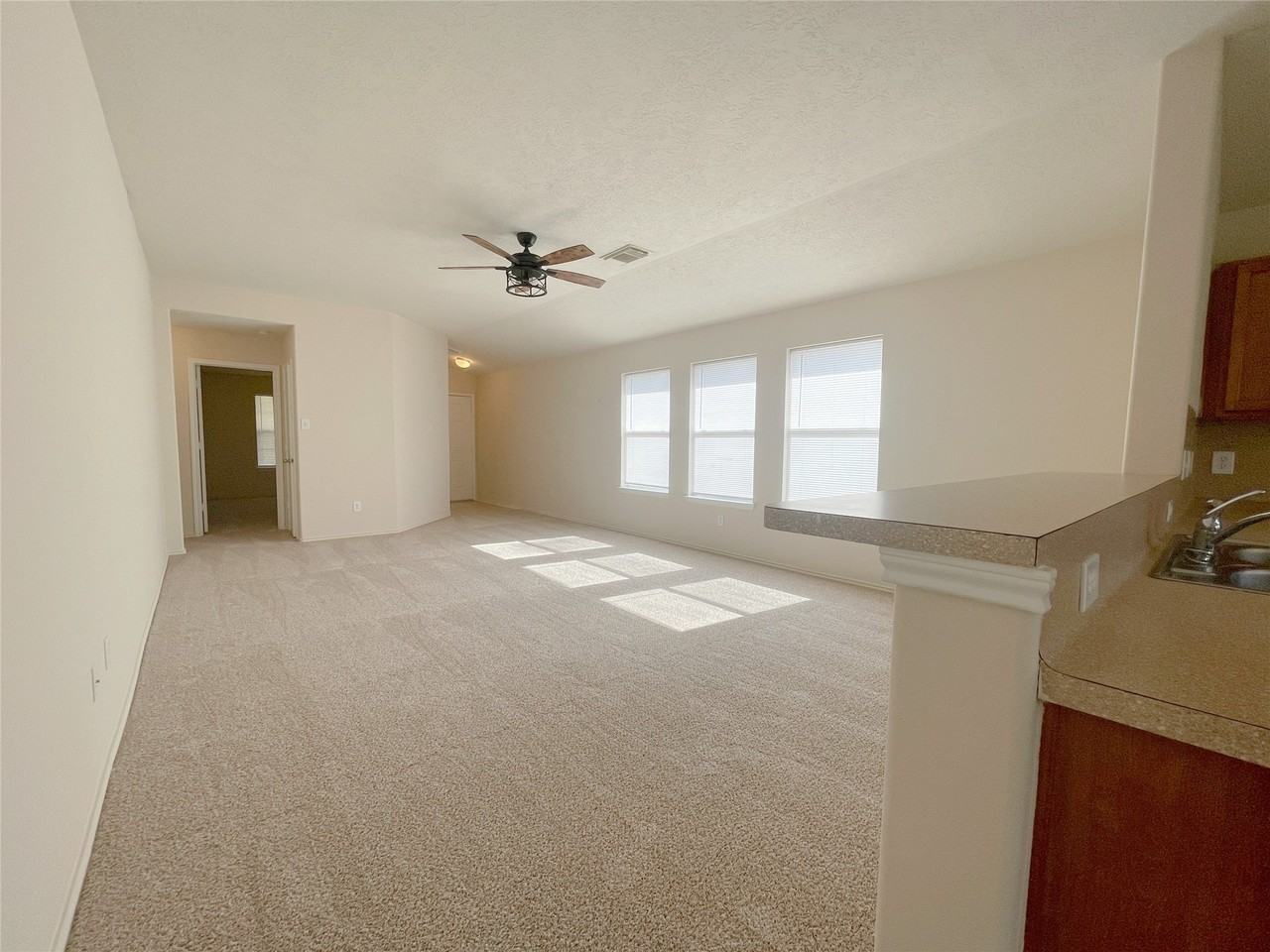 20823 Dewberry Creek Lane #20823 - Photo 2 of 11