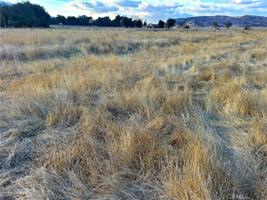 featured image of 37270 California Highway 79 #37270