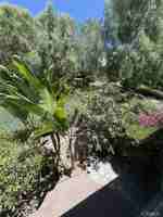 featured image of 5 Halcyon Lane #5