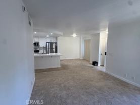 24342 Conejo #24342 - Photo 1 of 1