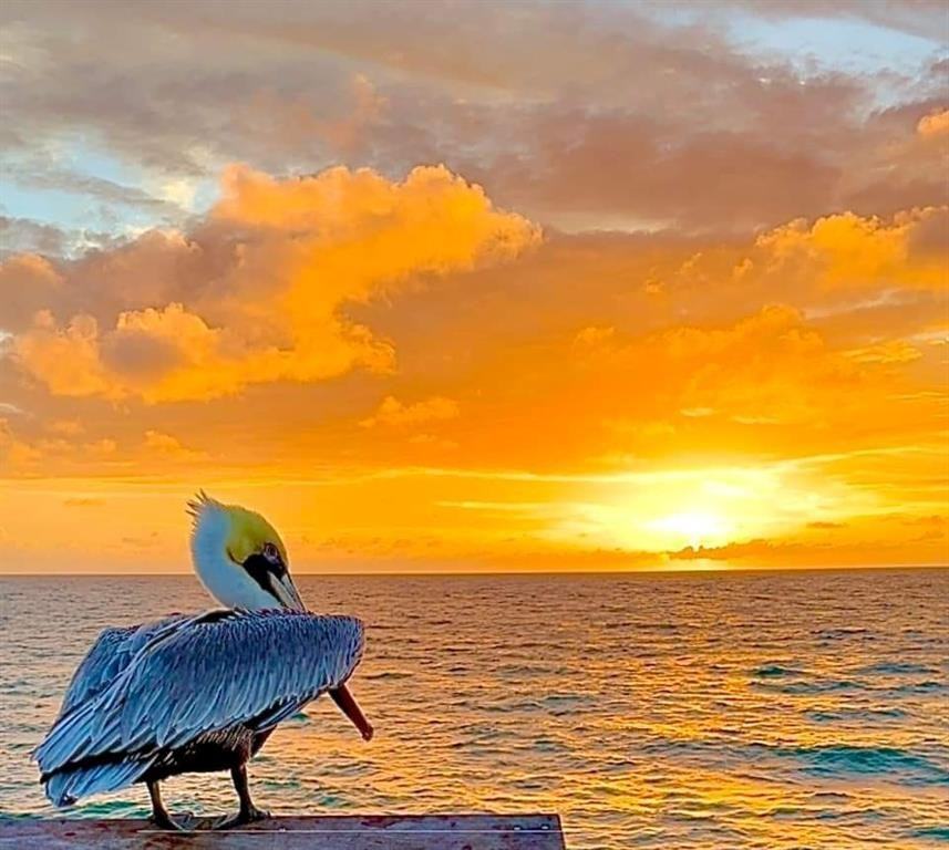 133 N Pompano Beach Blvd