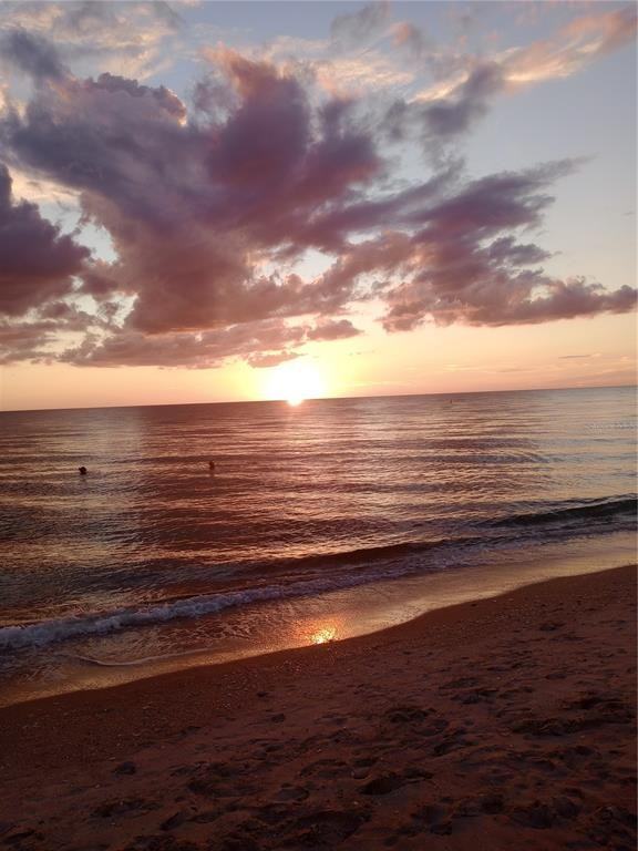 1264 Jamaica Rd #1264 - Photo 7 of 27