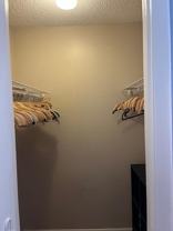 4801 Esedra Court - Photo 1 of 1